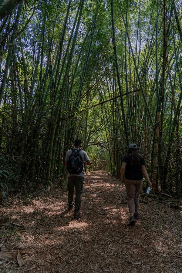 Reserva Natural Iguazu - Pristine Luxury Camp Puerto Libertad Εξωτερικό φωτογραφία
