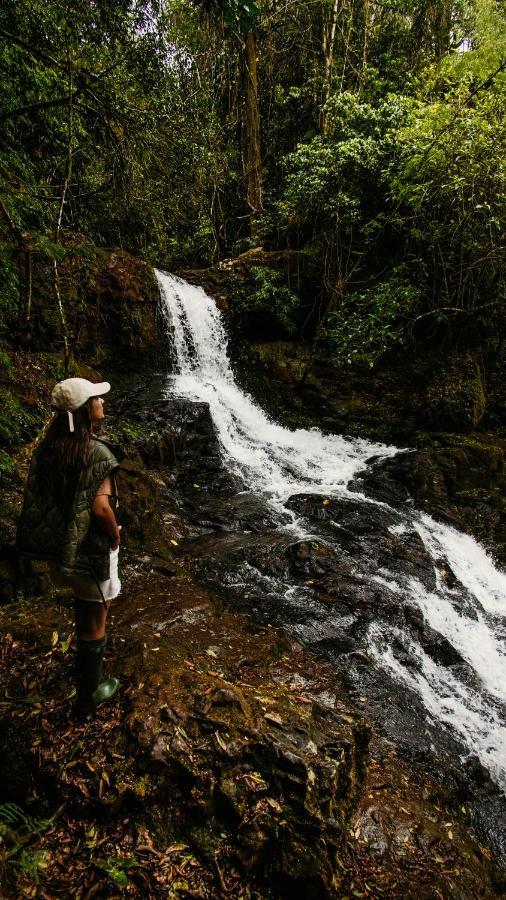 Reserva Natural Iguazu - Pristine Luxury Camp Puerto Libertad Εξωτερικό φωτογραφία