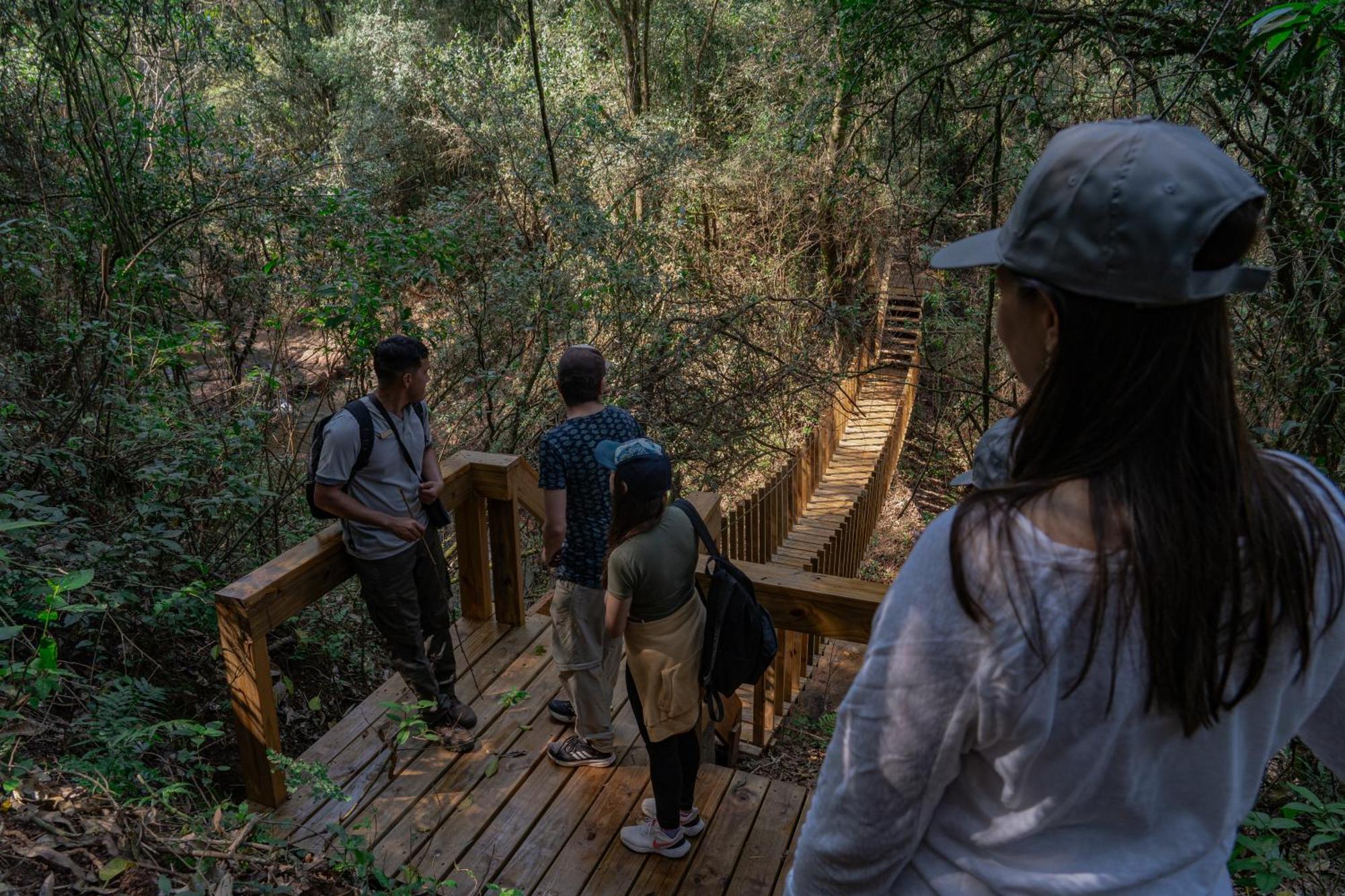 Reserva Natural Iguazu - Pristine Luxury Camp Puerto Libertad Εξωτερικό φωτογραφία