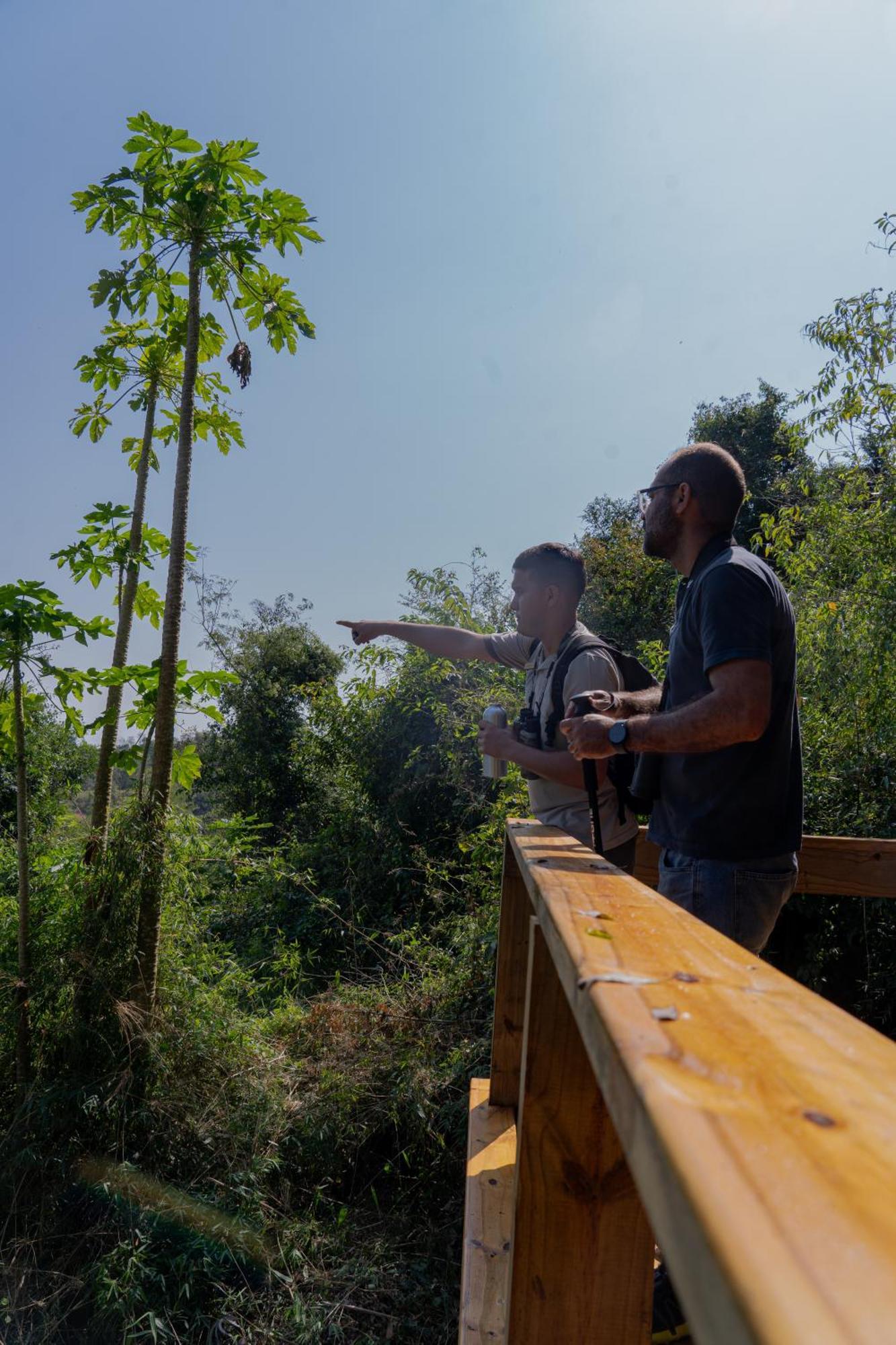 Reserva Natural Iguazu - Pristine Luxury Camp Puerto Libertad Εξωτερικό φωτογραφία